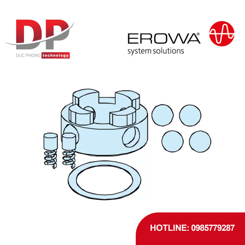Bộ sửa chữa EROWA ER-043353 QuickChuck 100 P, thay thế chi tiết hao mòn