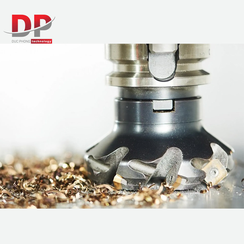 Phân biệt phoi và phôi