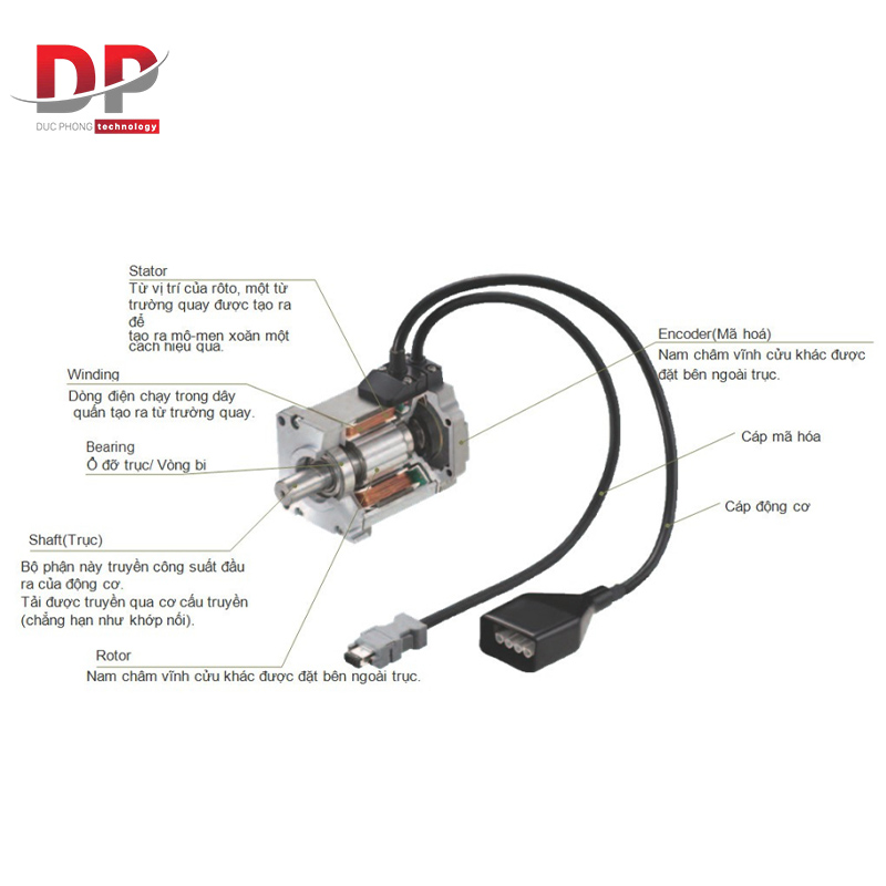 Cấu tạo chi tiết động cơ servo