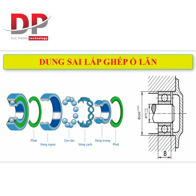 Dung sai lắp ghép ổ con lăn