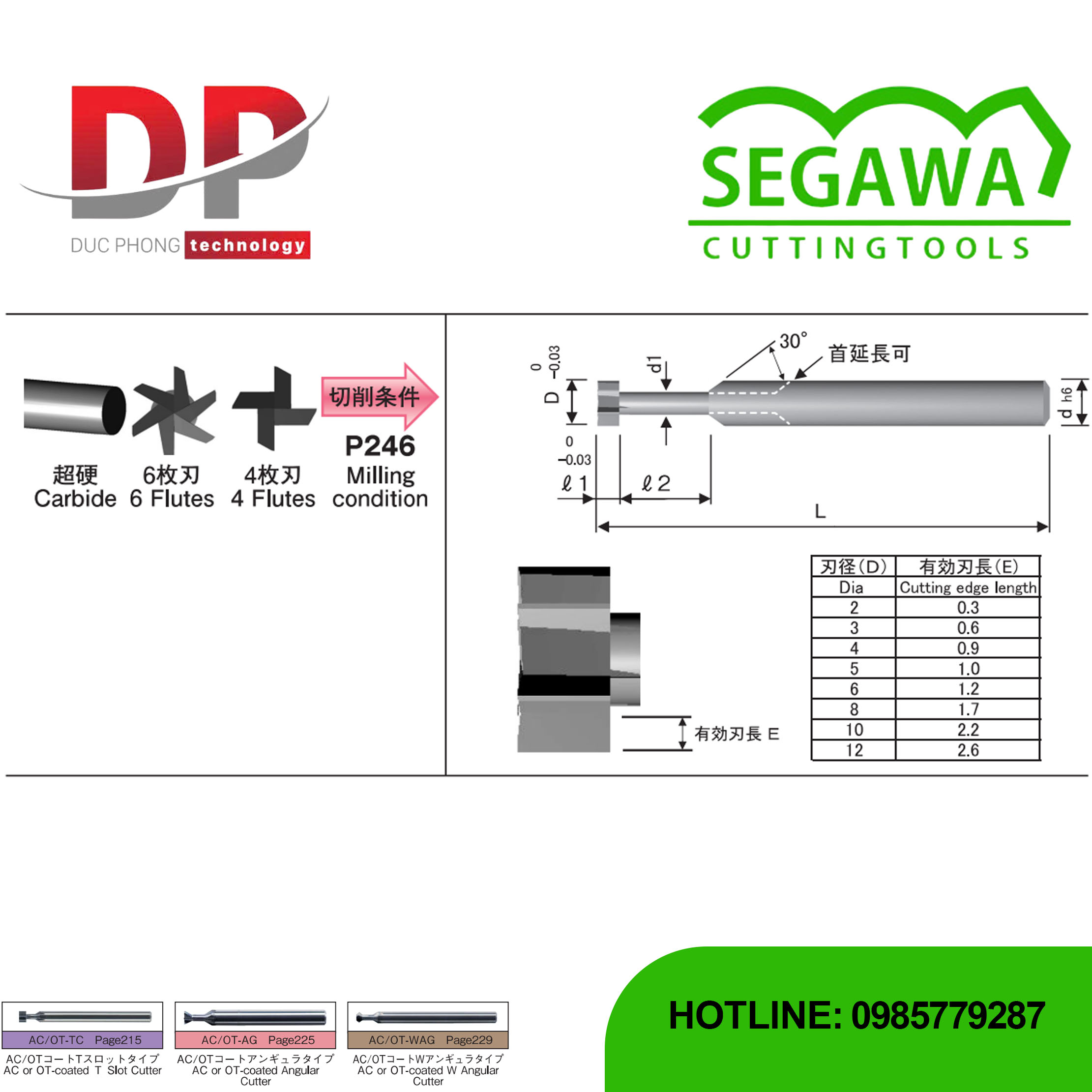 Dao phay rãnh T TC Carbide 4 hoặc 6 me - Segawa