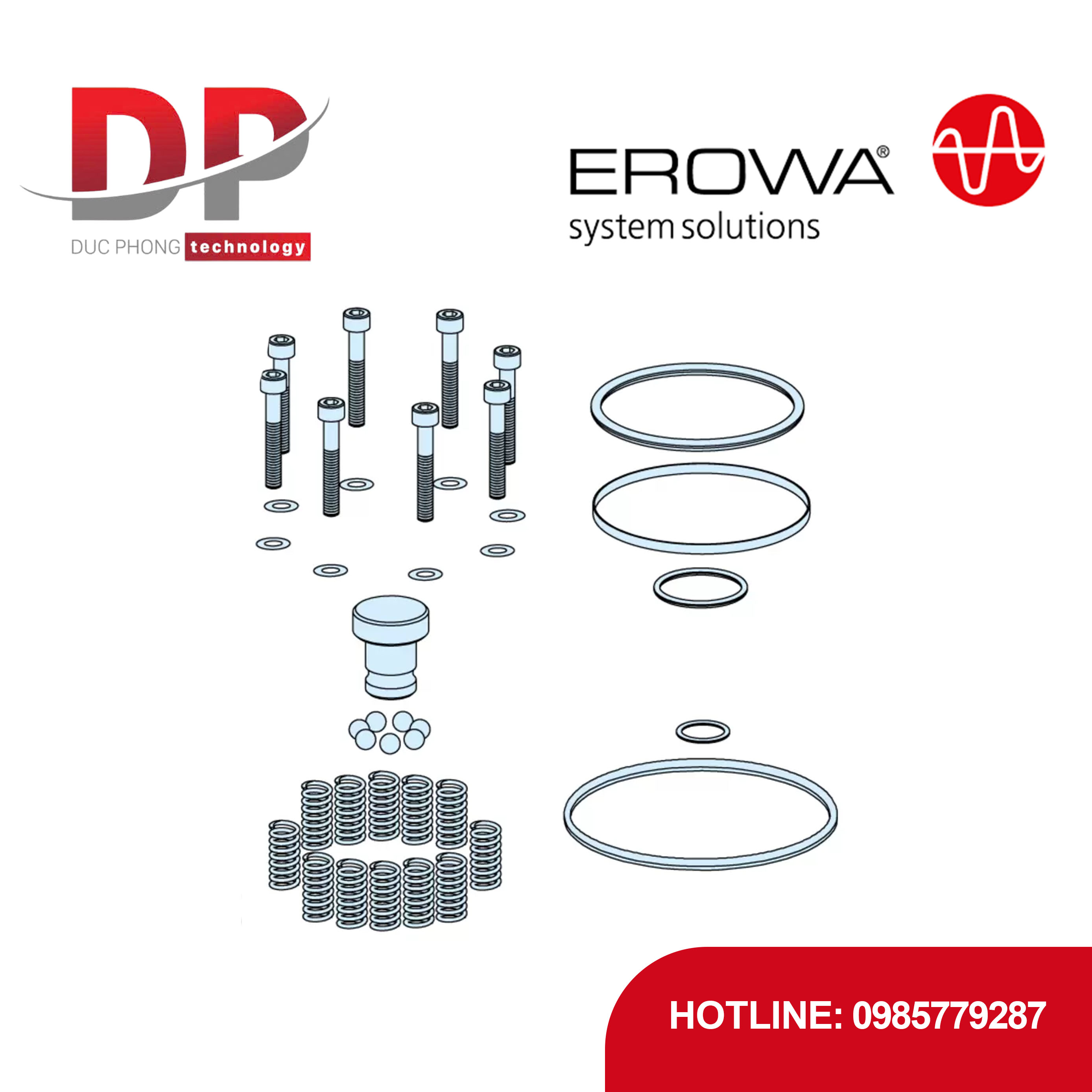 Bộ kit sửa chữa EROWA ER-162574